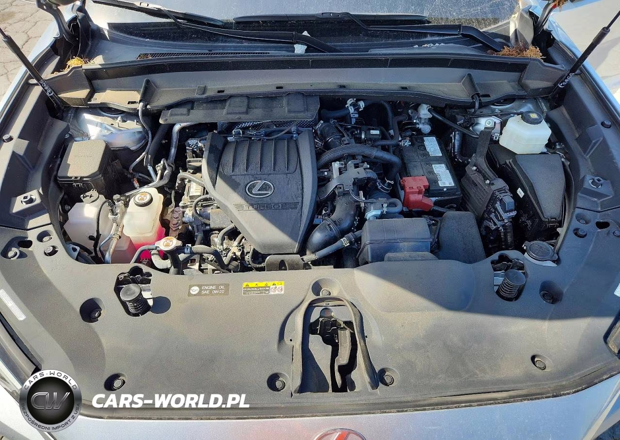 2024 Lexus Tx 350 Luxury VIN:5TDAAAA64RS001799 - 12
