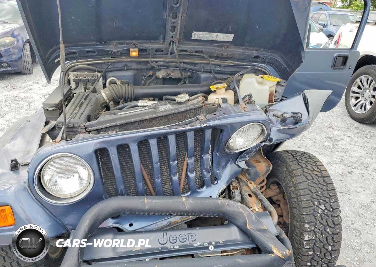 2002 Jeep Wrangler - Tj X VIN:1J4FA39SX2P746103 - 12
