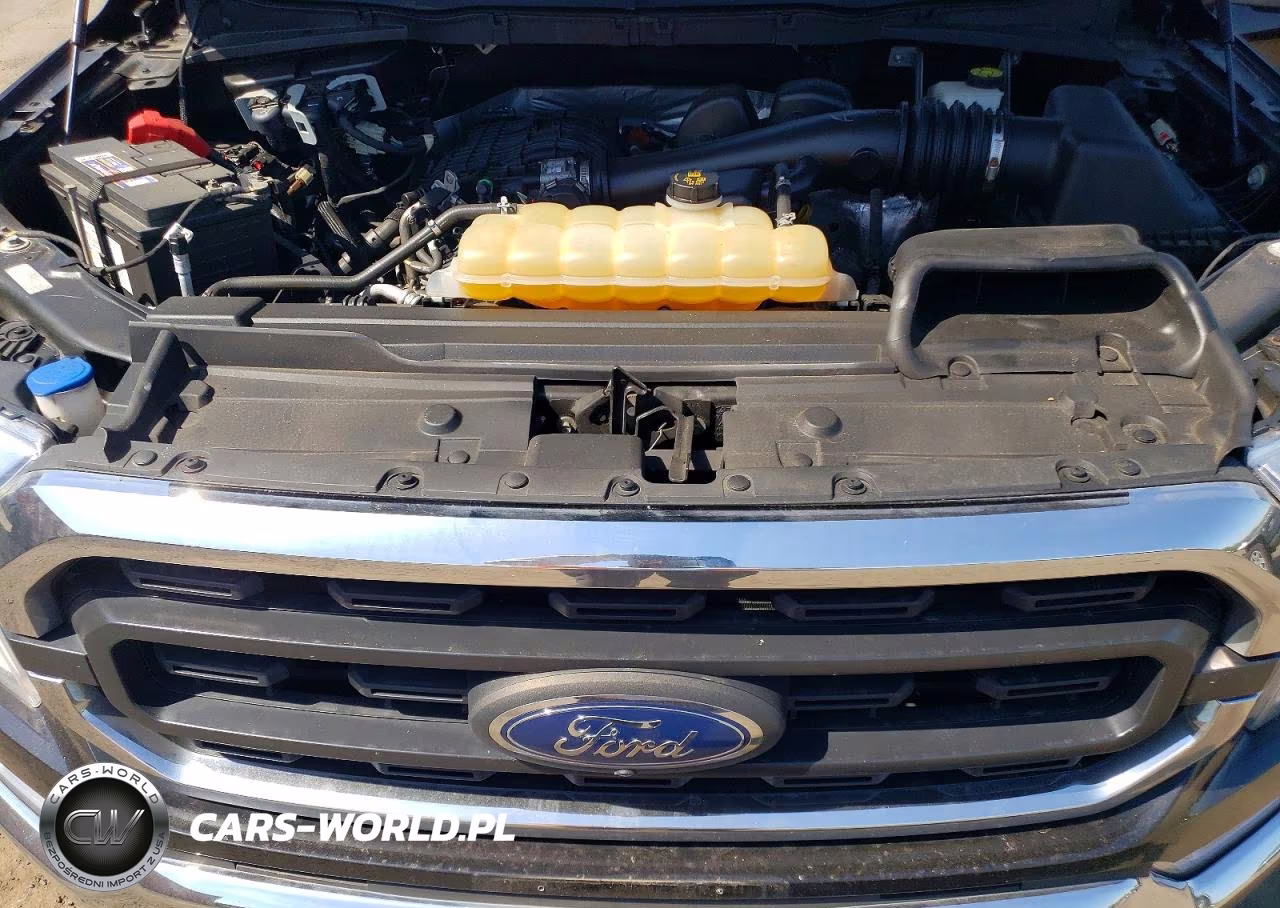 2021 Ford F150 Supercrew VIN:1FTEW1EB9MFA39323 - 11