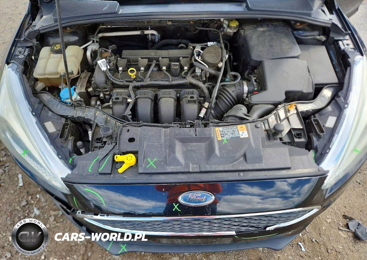 2015 Ford Focus Se VIN:1FADP3F28FL274096 - 11