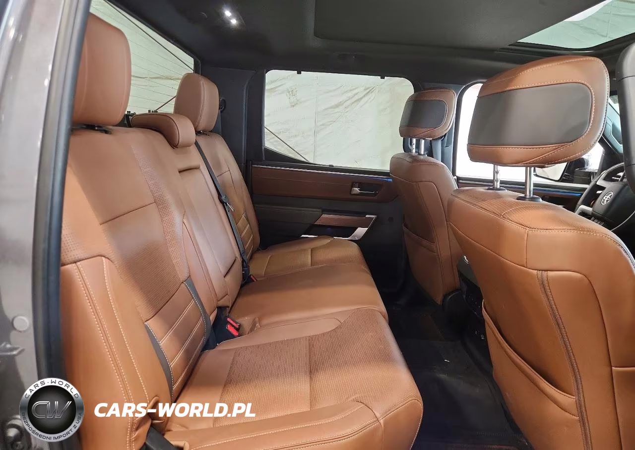 2023 Toyota Tundra 1794 Edition Hv VIN:5TFMC5DB5PX016102 - 10
