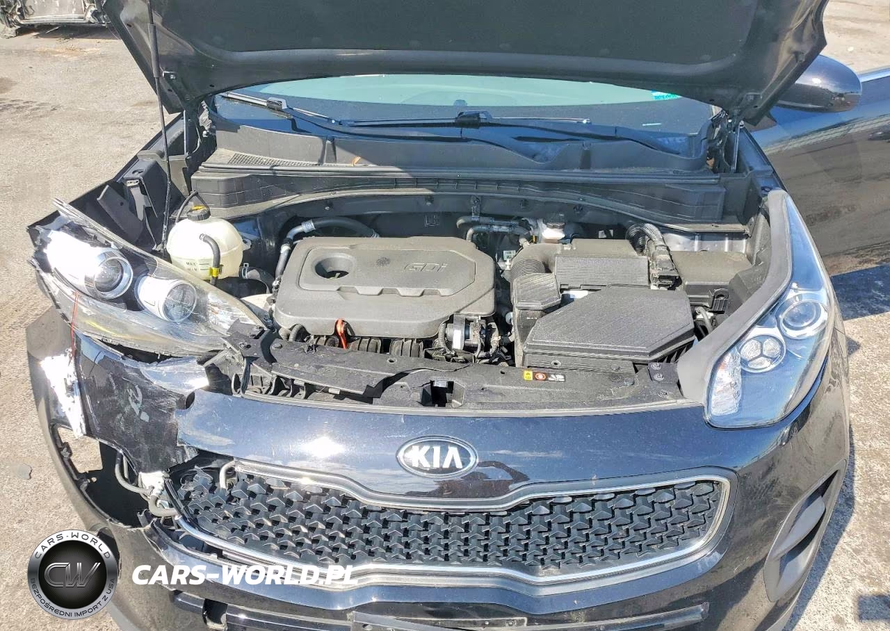 2017 Kia Sportage Lx VIN:KNDPM3AC3H7034675 - 11