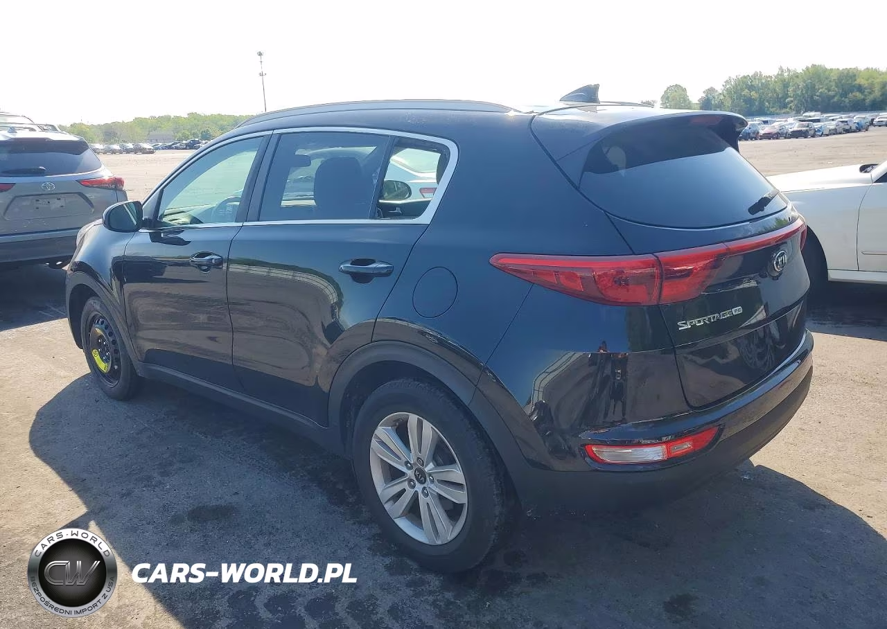 2017 Kia Sportage Lx VIN:KNDPM3AC3H7034675 - 2