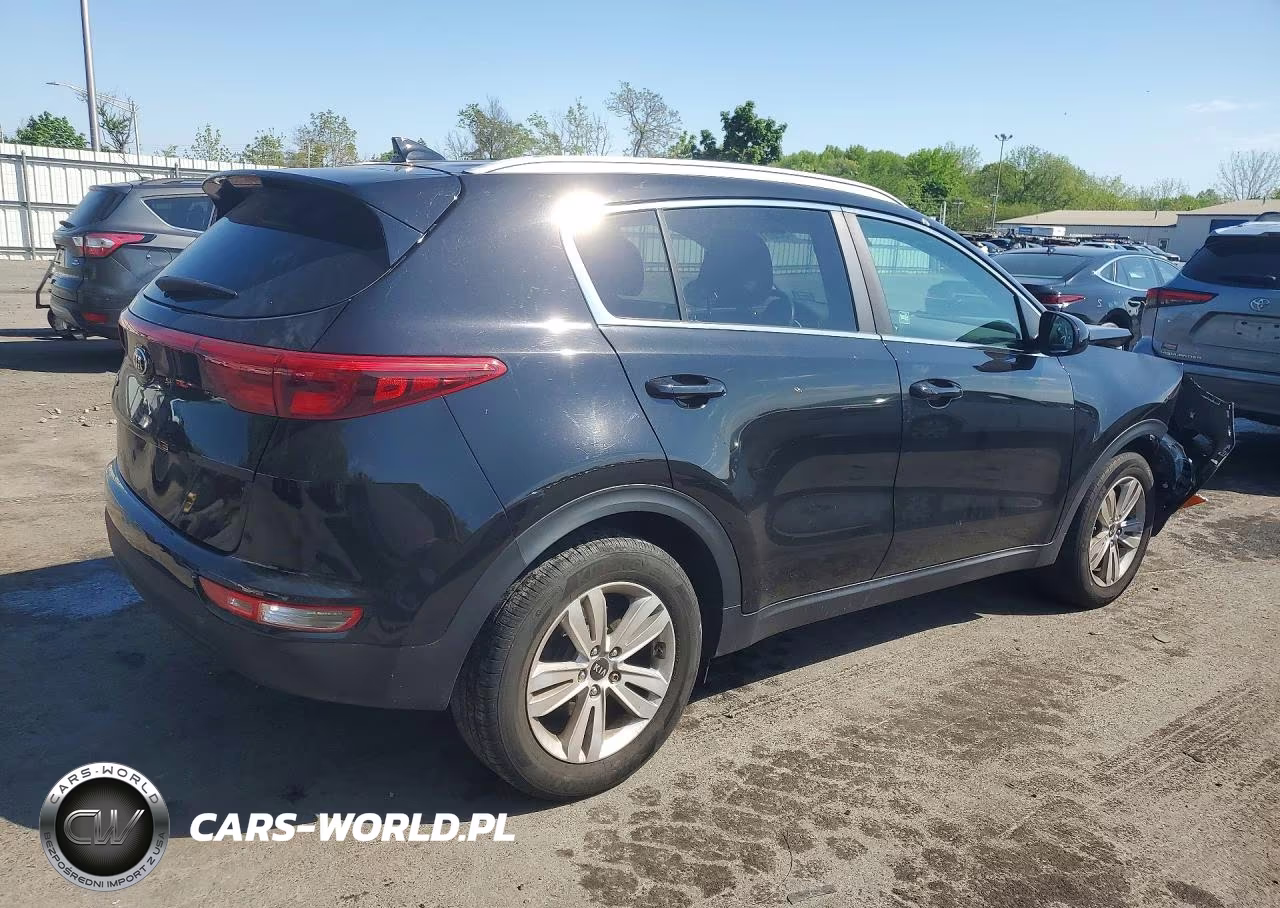 2017 Kia Sportage Lx VIN:KNDPM3AC3H7034675 - 3