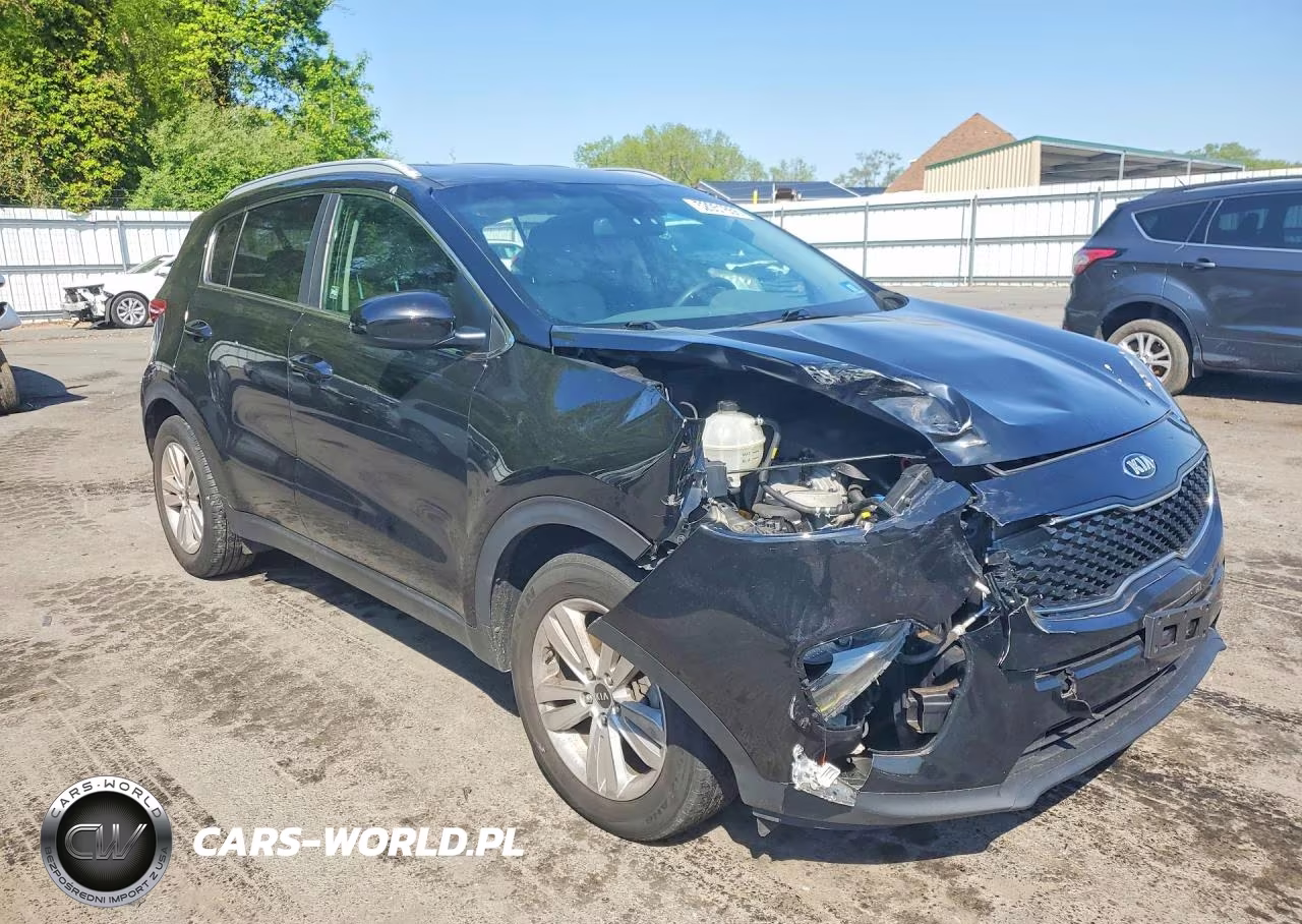 2017 Kia Sportage Lx VIN:KNDPM3AC3H7034675 - 4