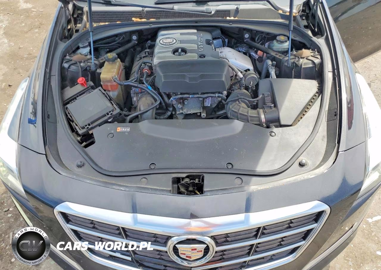 2014 Cadillac Cts Luxury Collection VIN:1G6AX5SX3E0135412 - 11