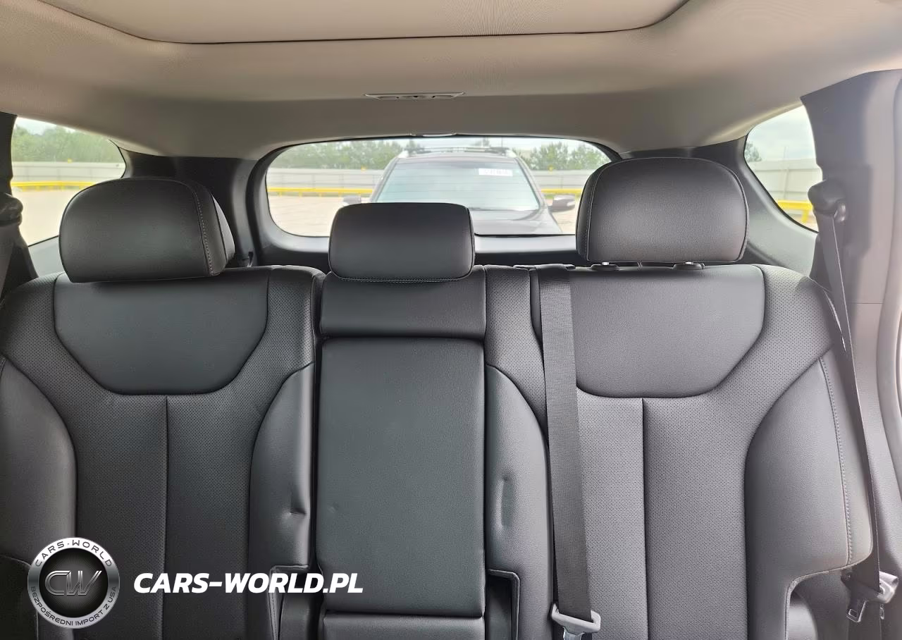 2023 Hyundai Santa Fe Sel Premium VIN:5NMS34AJ4PH549323 - 10
