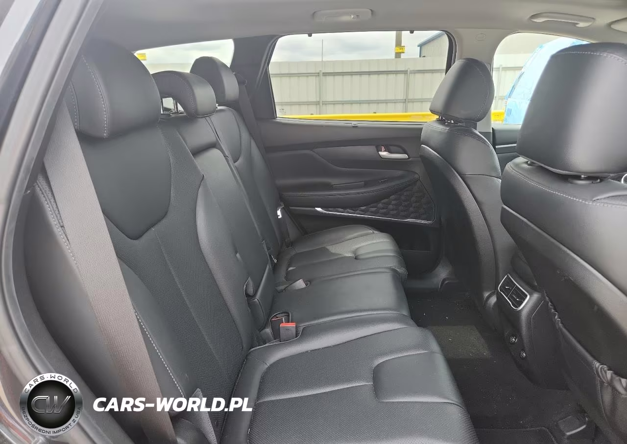 2023 Hyundai Santa Fe Sel Premium VIN:5NMS34AJ4PH549323 - 11