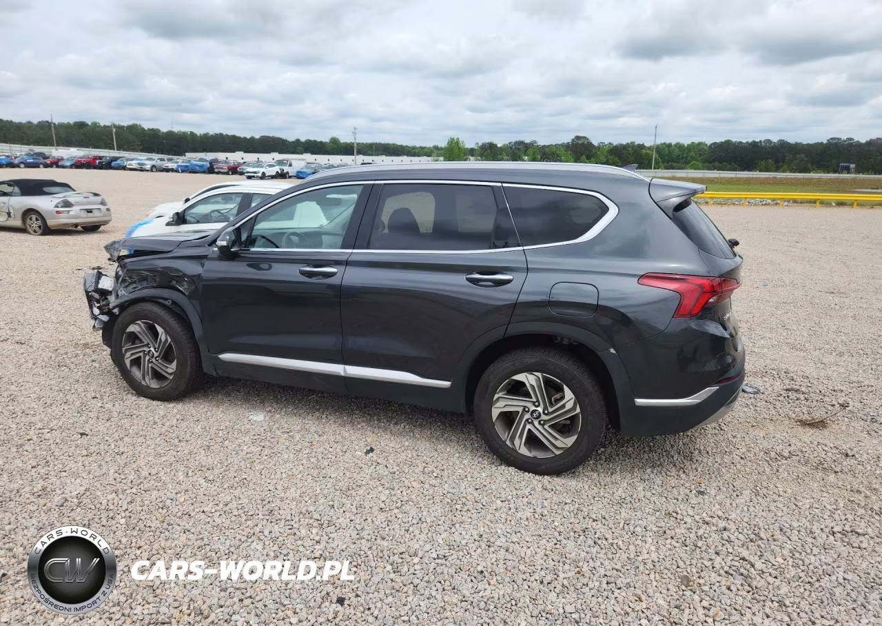 2023 Hyundai Santa Fe Sel Premium VIN:5NMS34AJ4PH549323 - 2