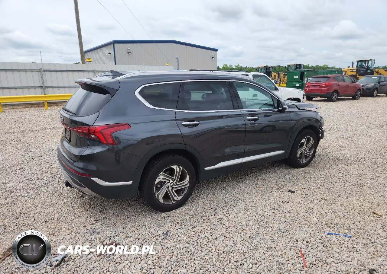 2023 Hyundai Santa Fe Sel Premium VIN:5NMS34AJ4PH549323 - 3
