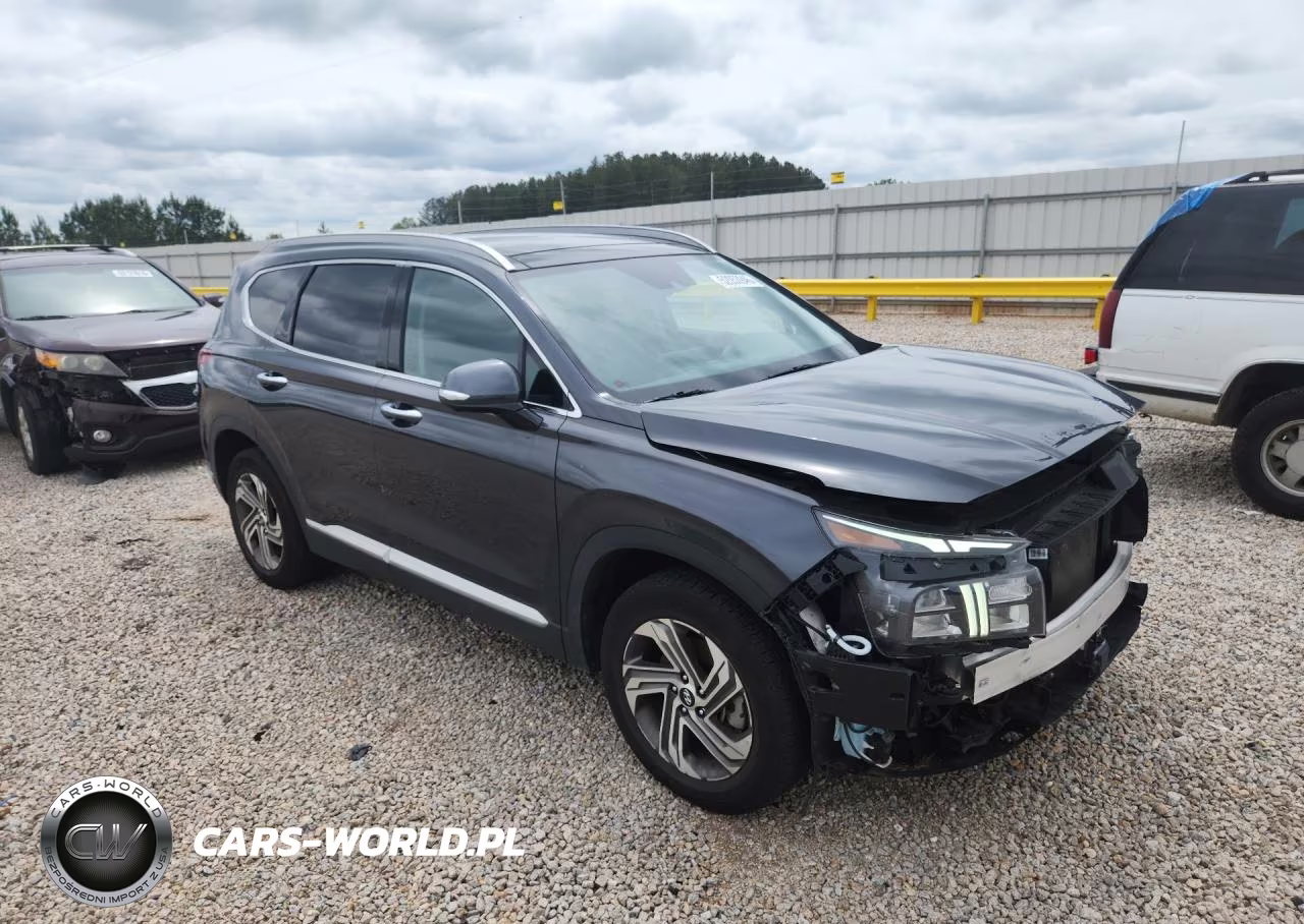 2023 Hyundai Santa Fe Sel Premium VIN:5NMS34AJ4PH549323 - 4