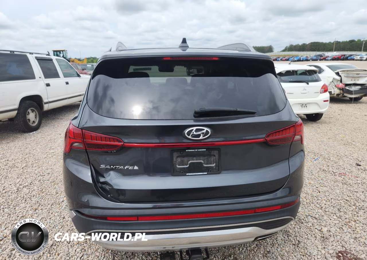 2023 Hyundai Santa Fe Sel Premium VIN:5NMS34AJ4PH549323 - 6