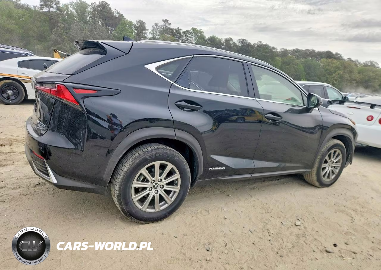 2020 Lexus Nx 300H VIN:JTJDJRDZ0L2130748 - 3