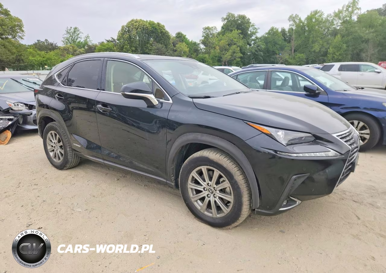 2020 Lexus Nx 300H VIN:JTJDJRDZ0L2130748 - 4