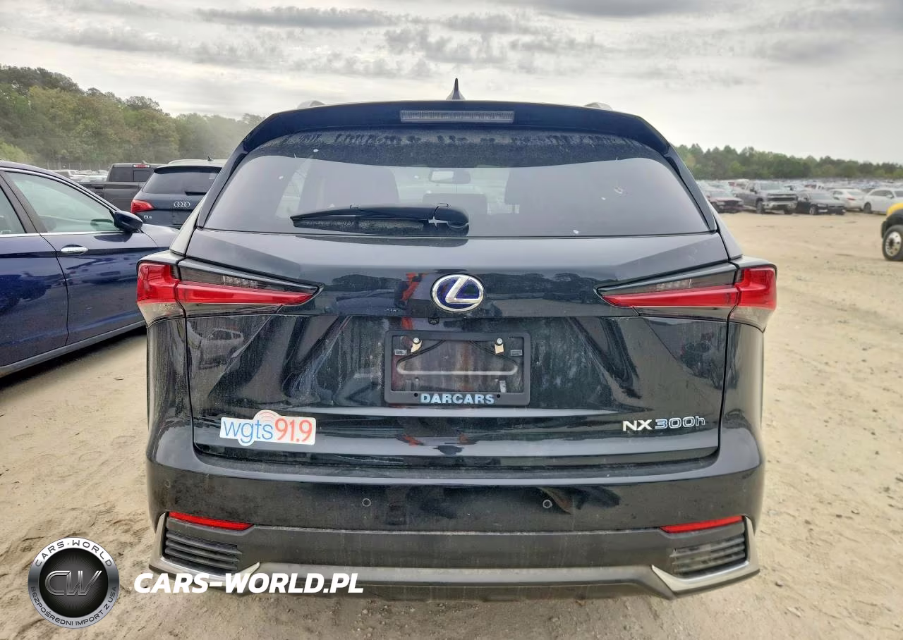 2020 Lexus Nx 300H VIN:JTJDJRDZ0L2130748 - 6