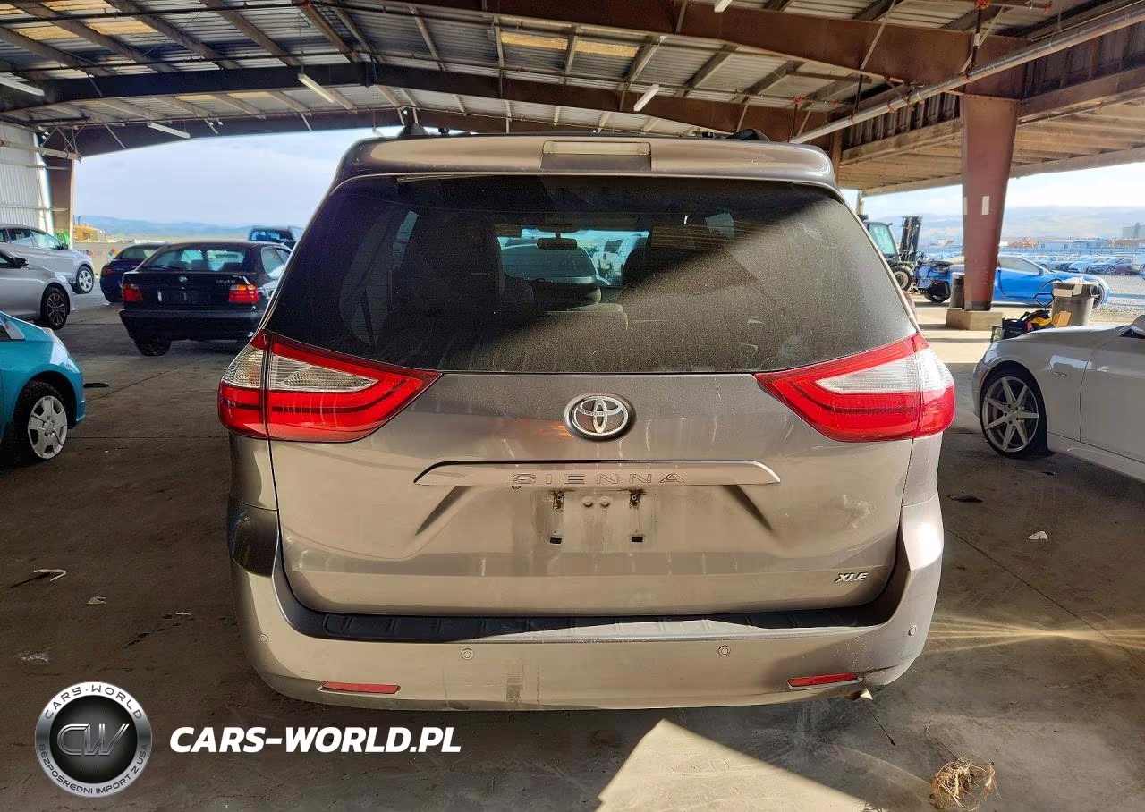 2017 Toyota Sienna Xle Premium 8-Passenger VIN:5TDYZ3DC6HS876403 - 6