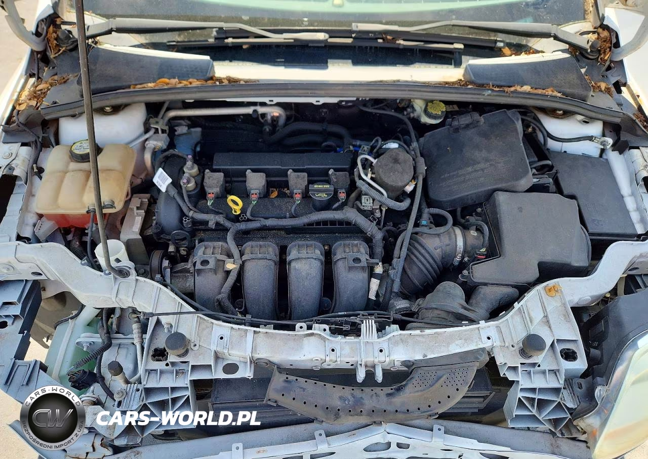 2014 Ford Focus Se VIN:1FADP3F25EL316089 - 11