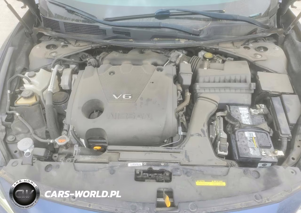 2020 Nissan Maxima 3.5 Sl VIN:1N4AA6DV6LC363633 - 11