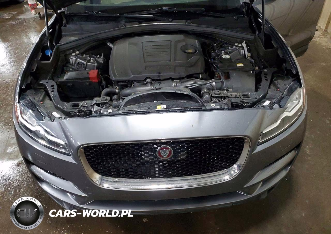 2019 Jaguar F-Pace Prestige VIN:SADCK2GX6KA600920 - 11