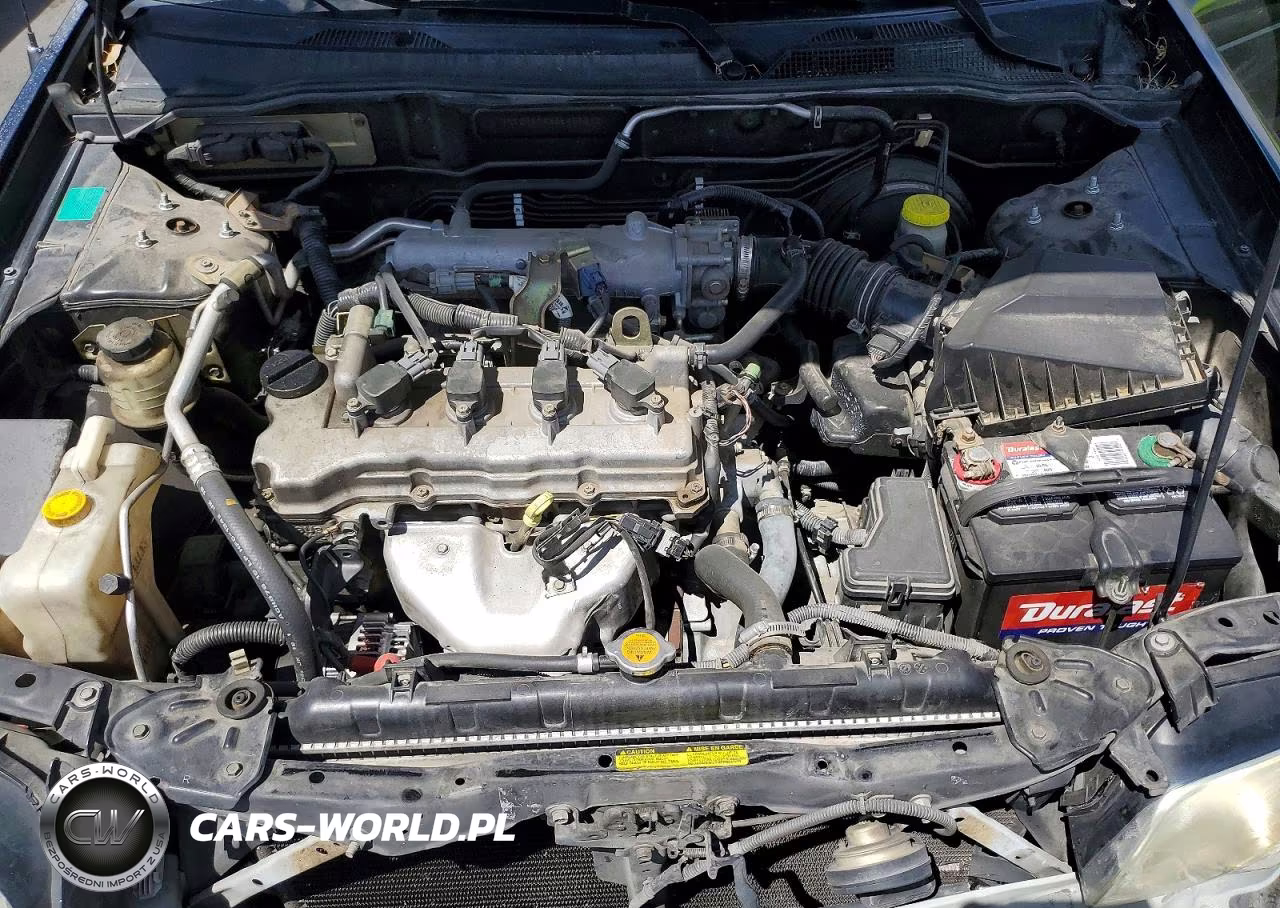 2005 Nissan Sentra 1.8S VIN:3N1CB51A35L458270 - 11