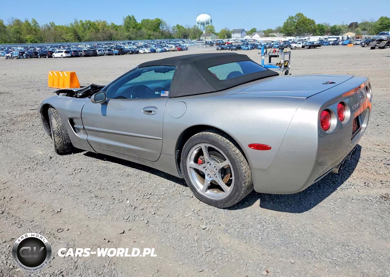 1999 Chevrolet Corvette VIN:1G1YY32G3X5116483 - 2