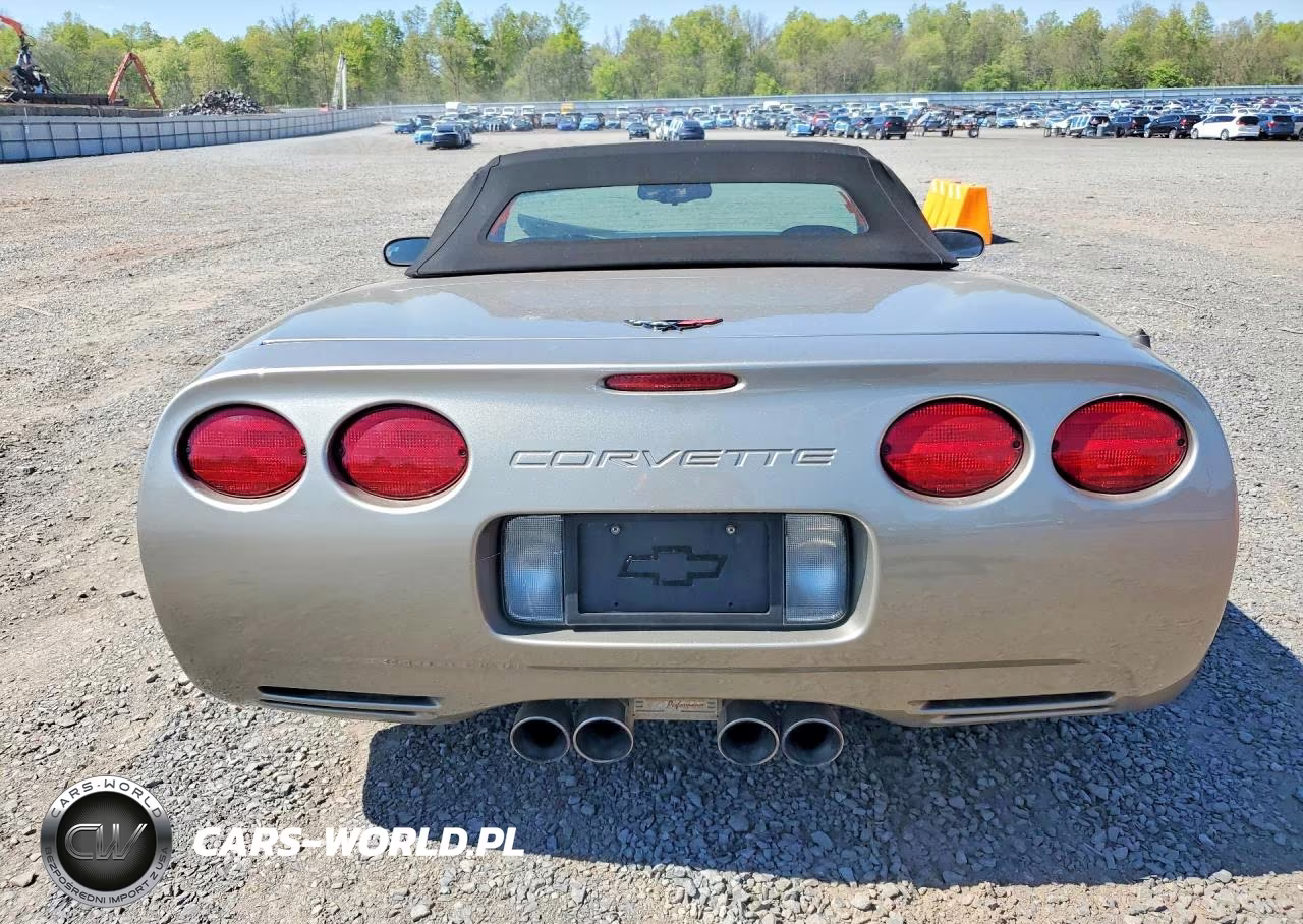 1999 Chevrolet Corvette VIN:1G1YY32G3X5116483 - 6
