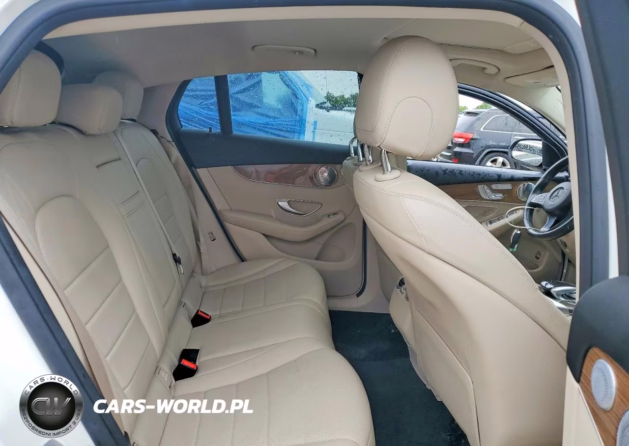 2017 Mercedes-Benz Glc Coupe 300 4Matic VIN:WDC0J4KBXHF257625 - 10