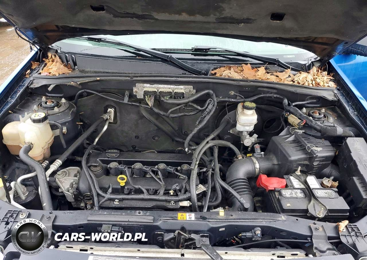 2012 Ford Escape Xlt VIN:1FMCU9D76CKA88845 - 12