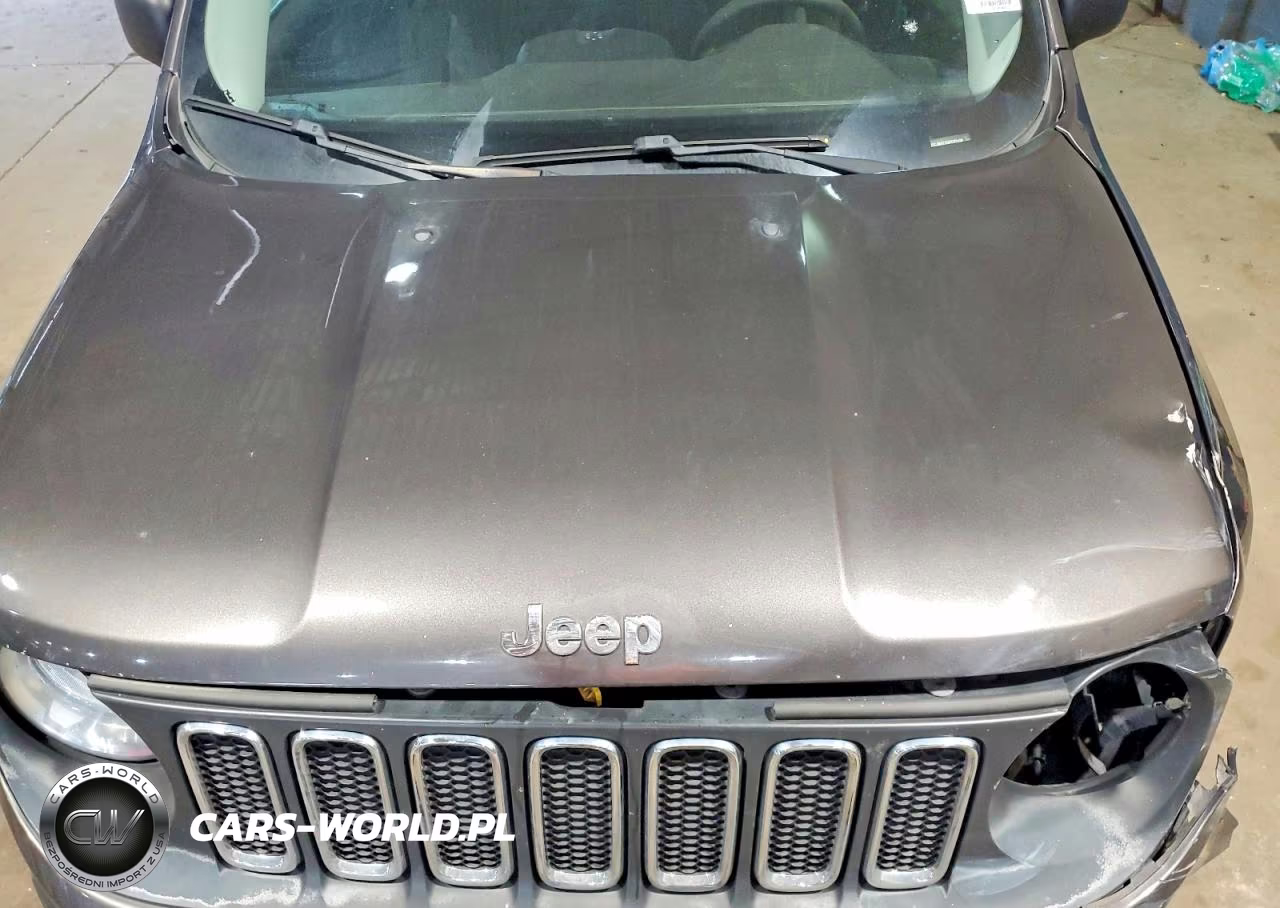 2016 Jeep Renegade Sport VIN:ZACCJBAT3GPD77439 - 12
