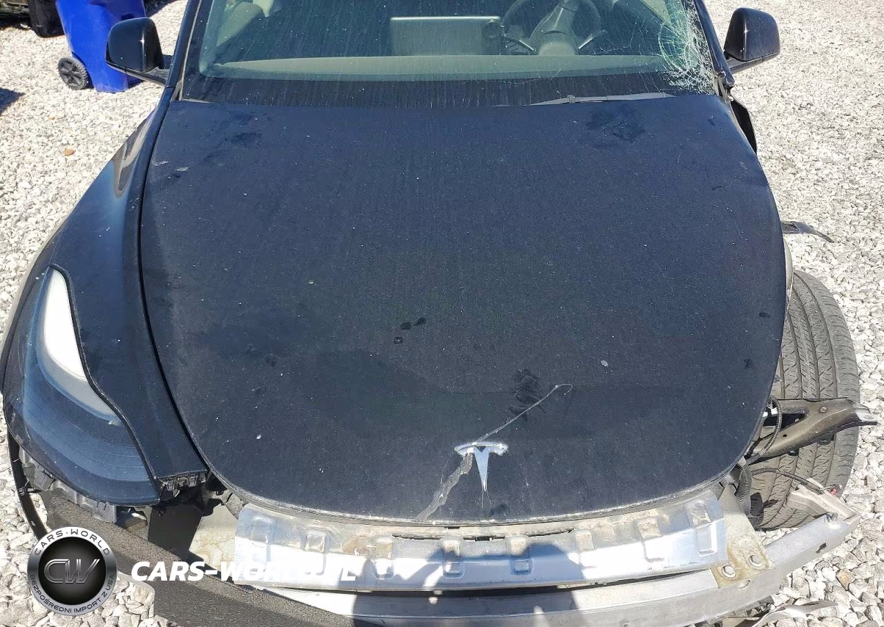 2023 Tesla Model Y VIN:7SAYGDEE5PF674377 - 11