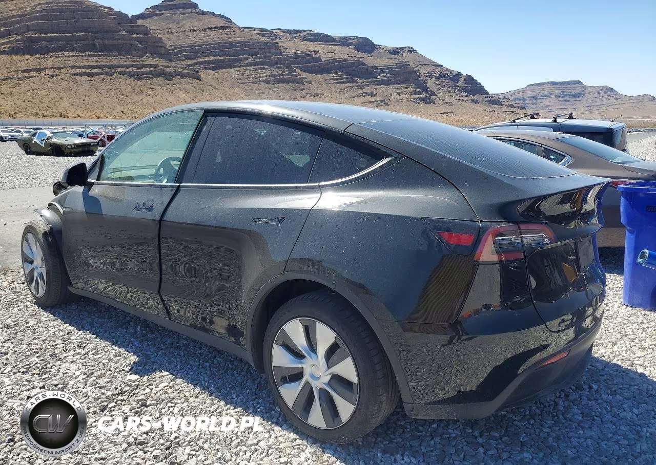 2023 Tesla Model Y VIN:7SAYGDEE5PF674377 - 2
