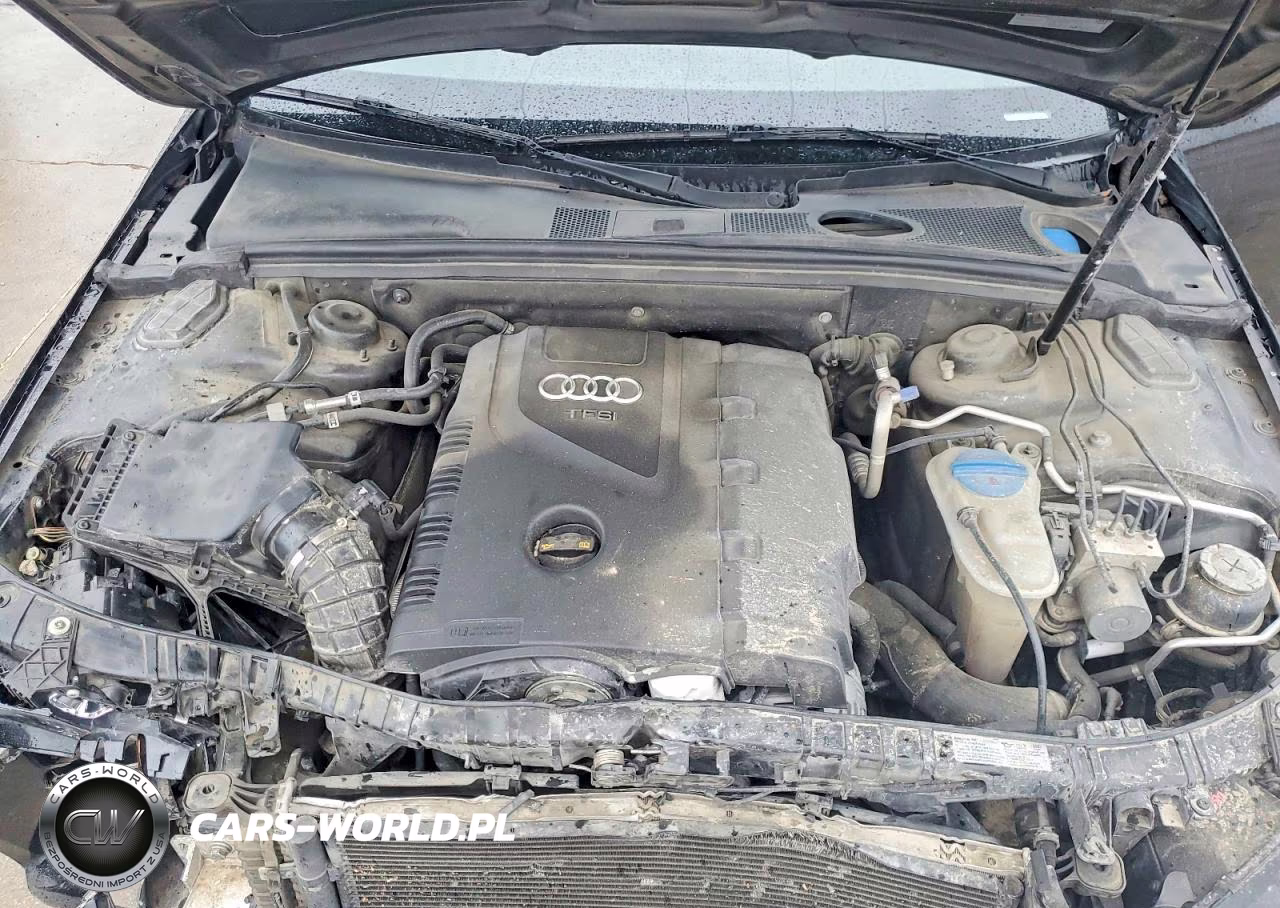2010 Audi A4 Premium VIN:WAUAFAFL8AN058062 - 11