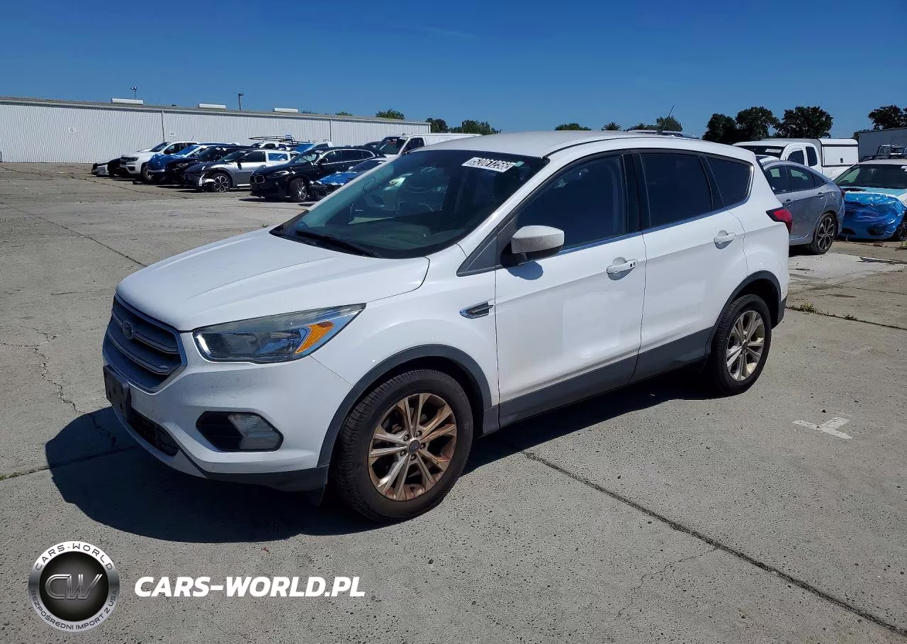 2019 Ford Escape Se