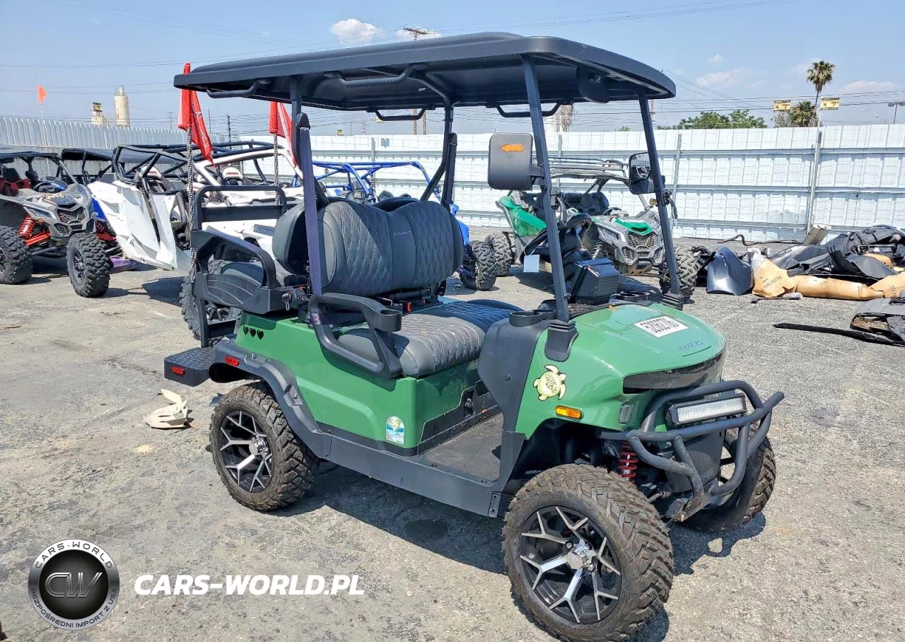 2025 Golflc Golf Cart 4 Seats – zdjęcie 1 z 10