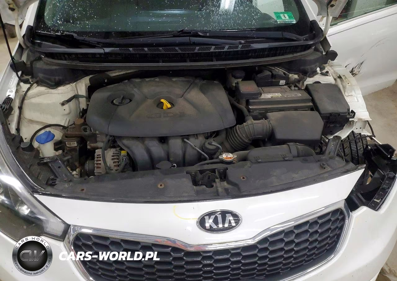 2016 Kia Forte Ex VIN:KNAFX4A82G5481459 - 11