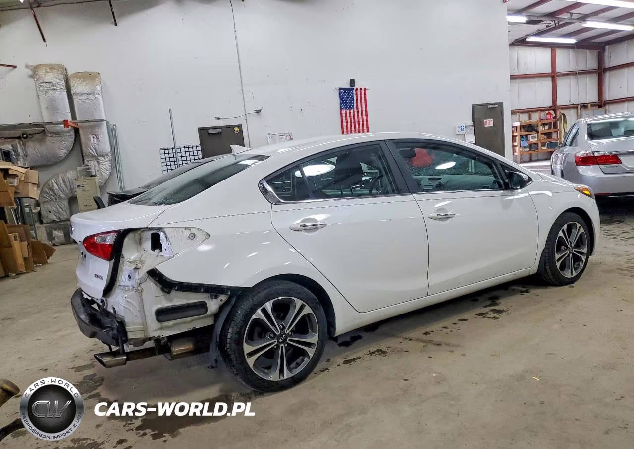 2016 Kia Forte Ex VIN:KNAFX4A82G5481459 - 3