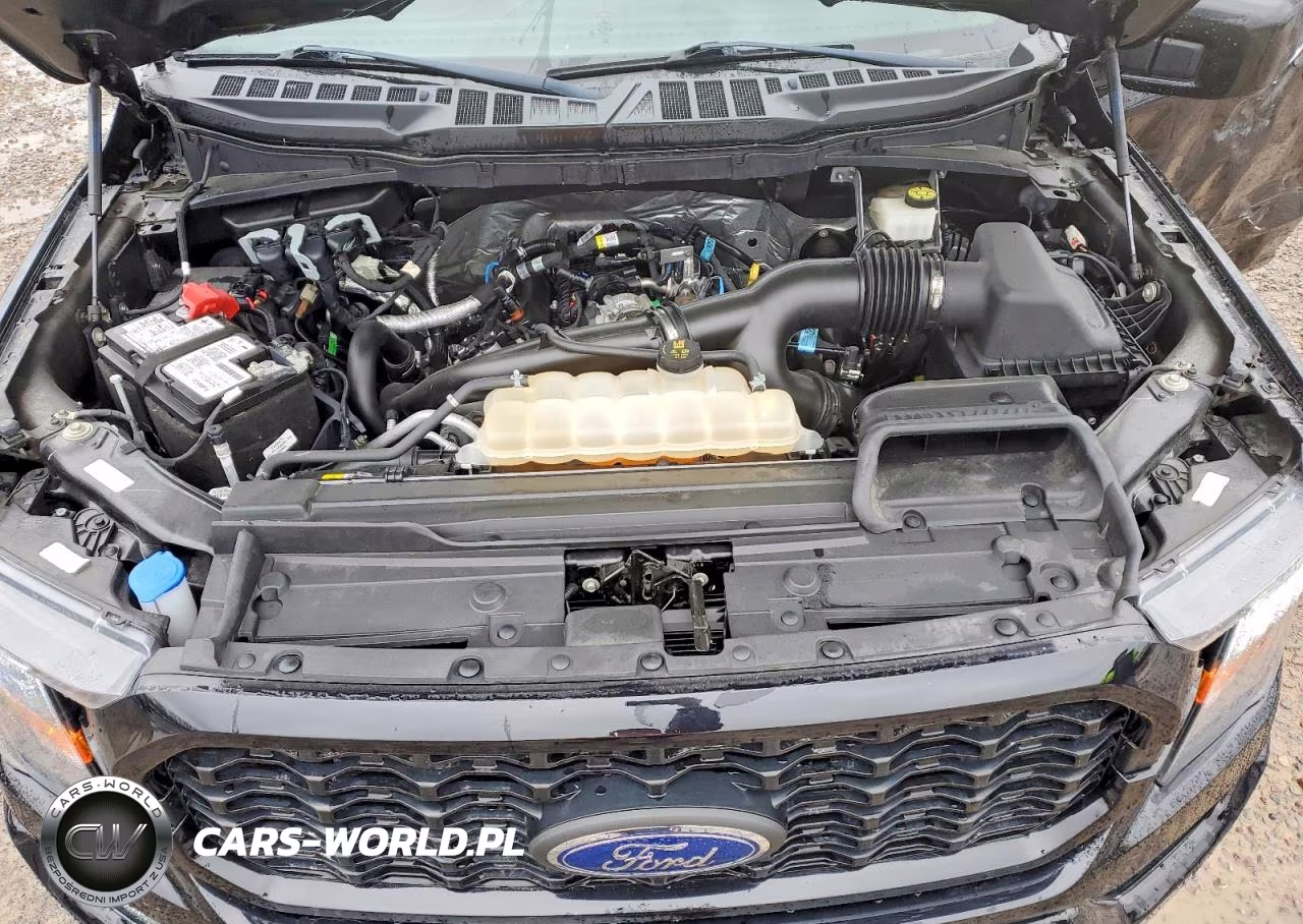 2023 Ford F150 Supercrew VIN:1FTEW1EP3PFA55601 - 11
