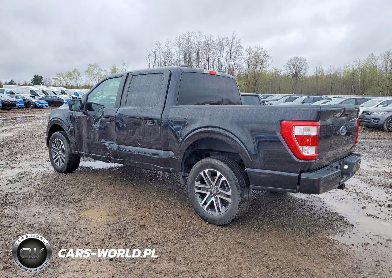 2023 Ford F150 Supercrew VIN:1FTEW1EP3PFA55601 - 2