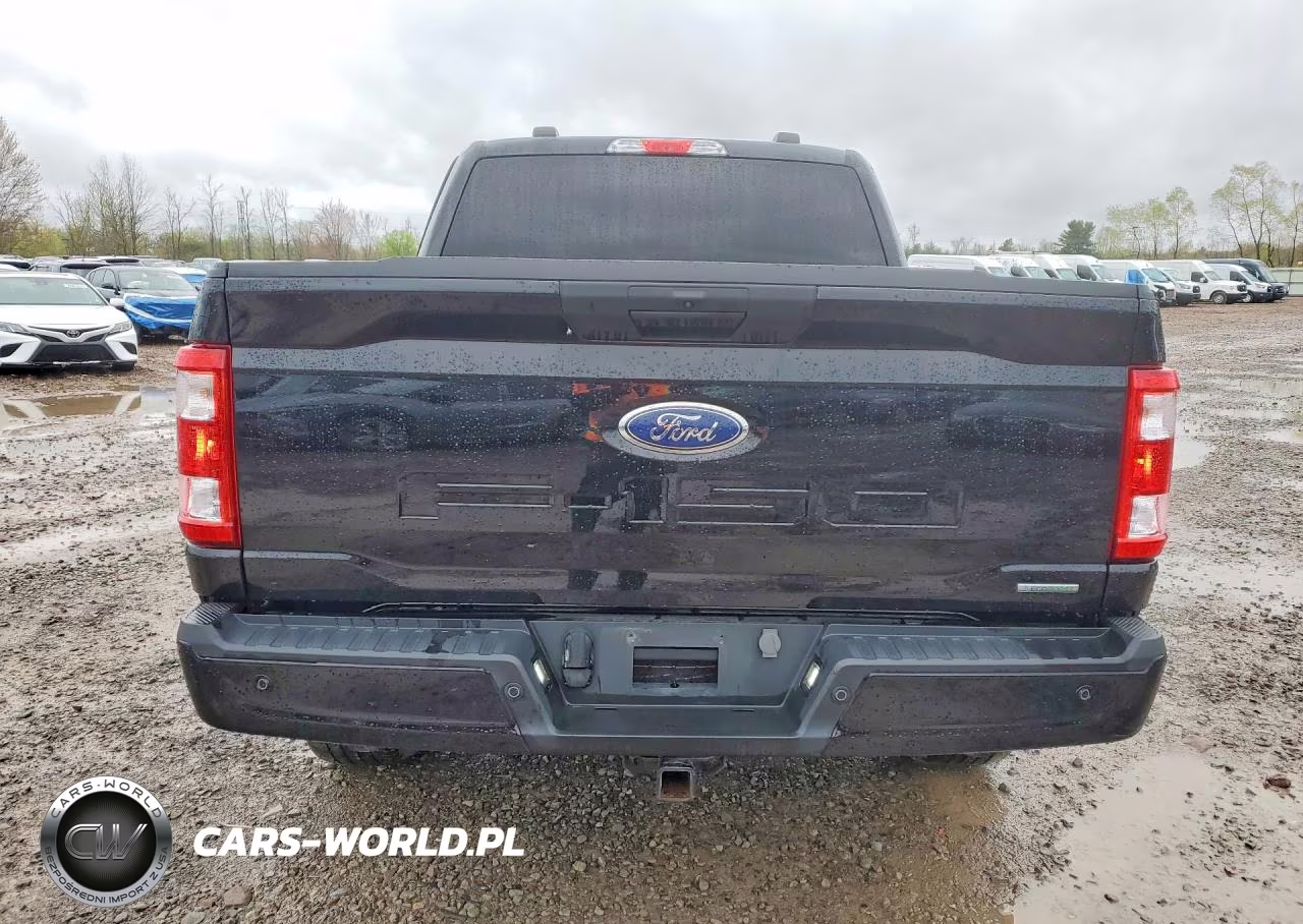2023 Ford F150 Supercrew VIN:1FTEW1EP3PFA55601 - 6