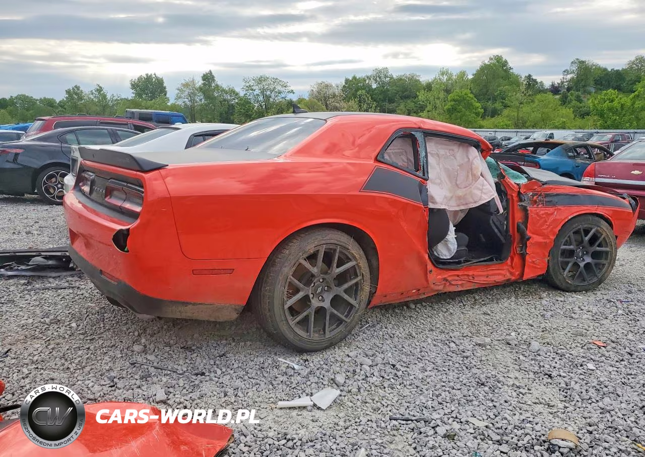 2018 Dodge Challenger R VIN:2C3CDZBT5JH116129 - 3
