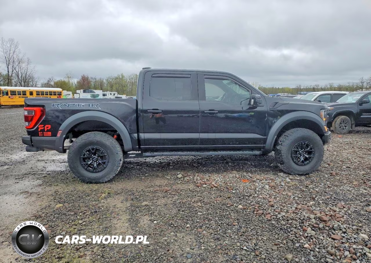 2023 Ford F150 Raptor VIN:1FTFW1RG0PFB42466 - 12