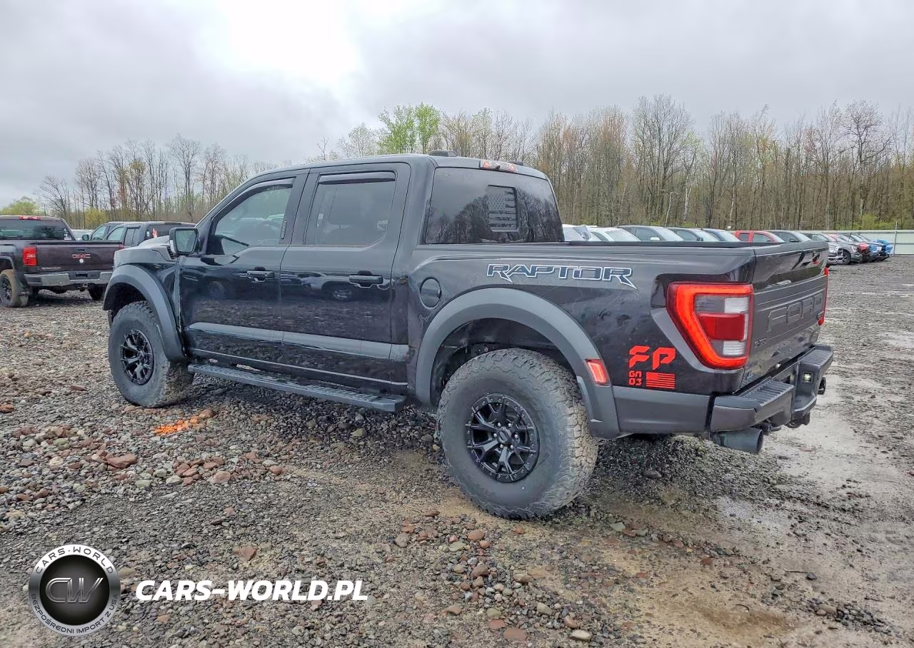 2023 Ford F150 Raptor VIN:1FTFW1RG0PFB42466 - 2