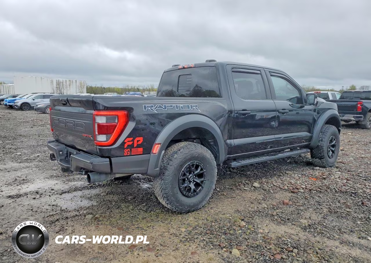 2023 Ford F150 Raptor VIN:1FTFW1RG0PFB42466 - 3