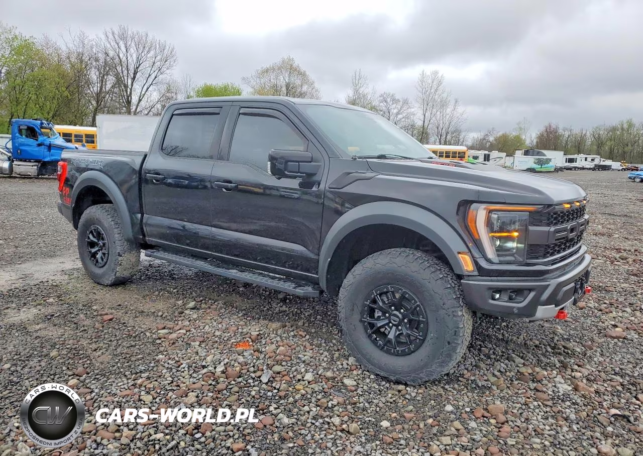2023 Ford F150 Raptor VIN:1FTFW1RG0PFB42466 - 4