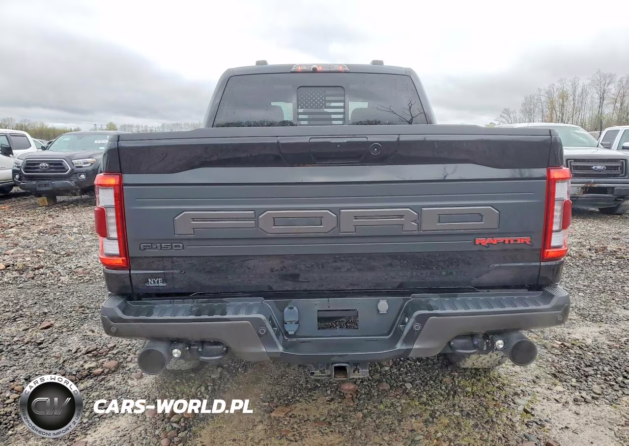 2023 Ford F150 Raptor VIN:1FTFW1RG0PFB42466 - 6