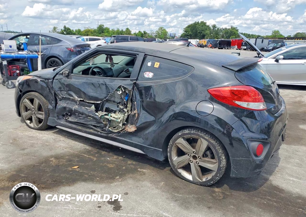 2013 Hyundai Veloster Turbo VIN:KMHTC6AE9DU132301 - 2