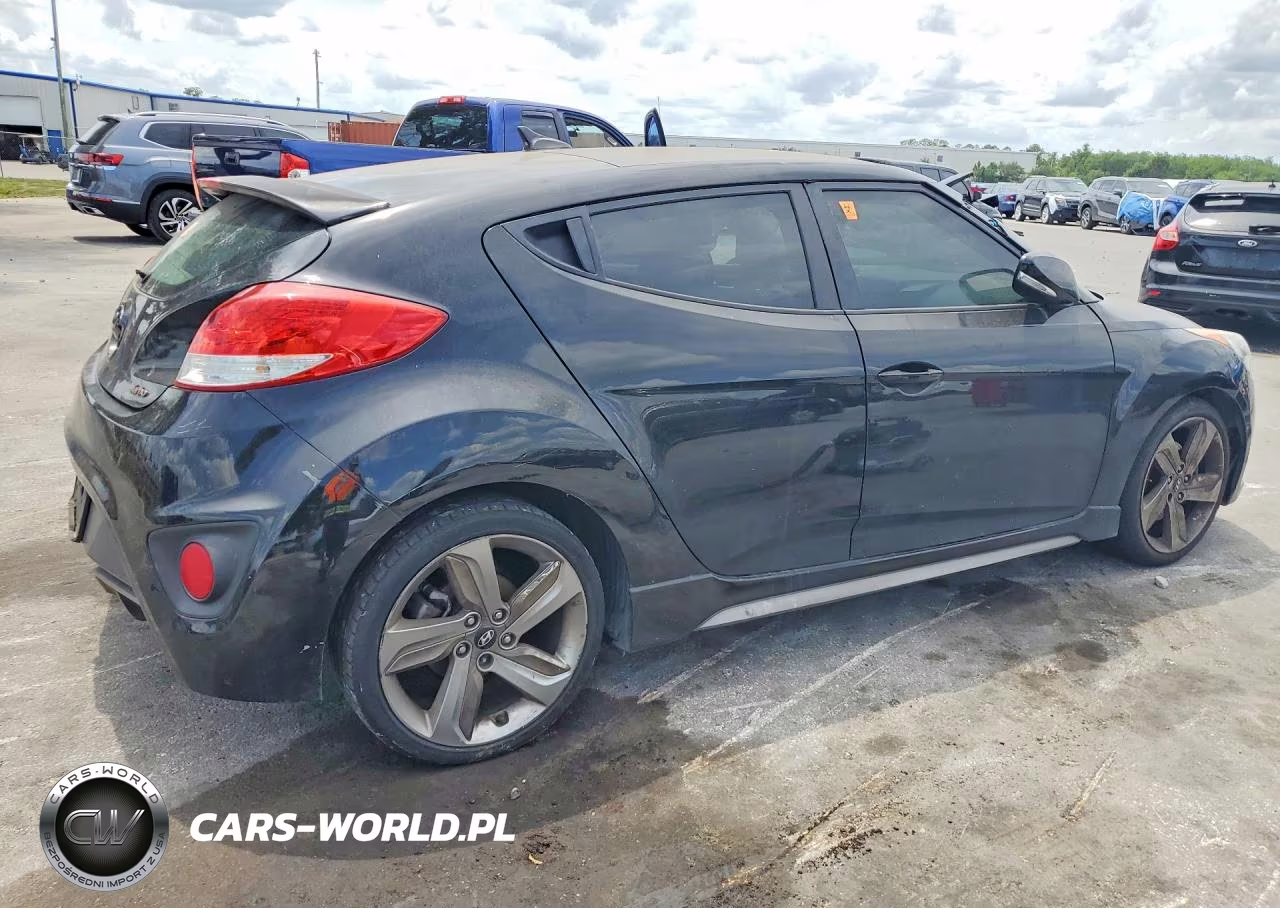 2013 Hyundai Veloster Turbo VIN:KMHTC6AE9DU132301 - 3