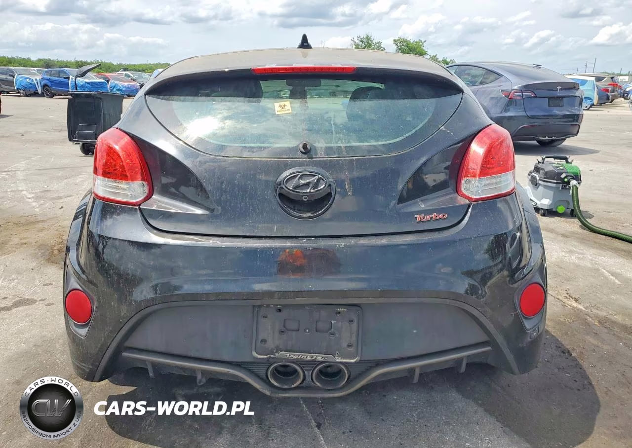 2013 Hyundai Veloster Turbo VIN:KMHTC6AE9DU132301 - 6