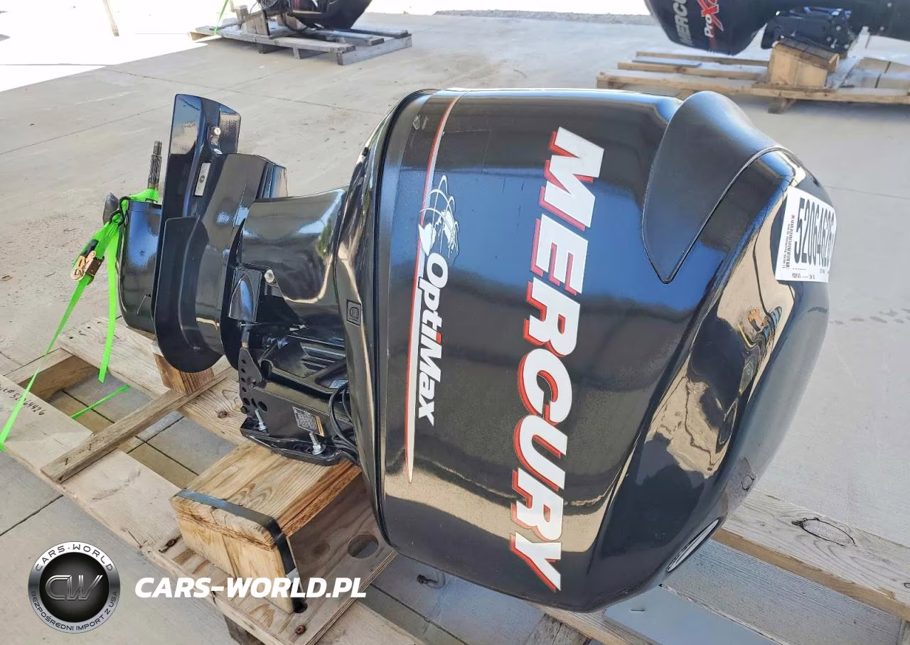 2011 Mercury Boatmotor