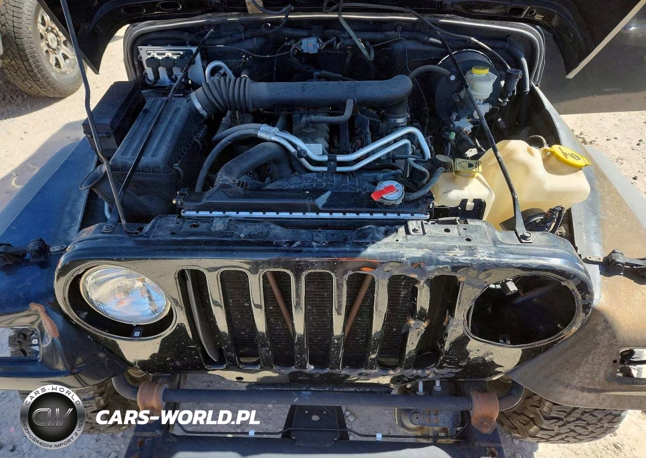 2004 Jeep Wrangler - Tj Sport VIN:1J4FA49S44P734151 - 12